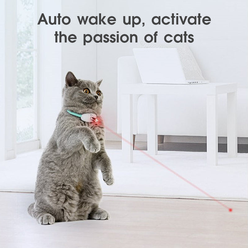 Cat Smart Laser