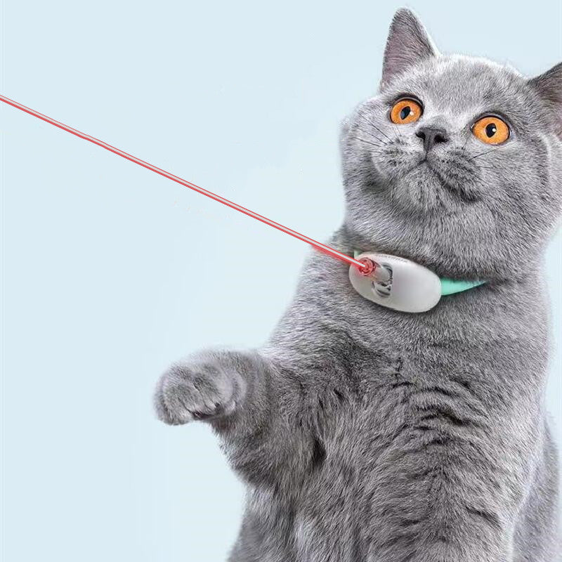 Cat Smart Laser